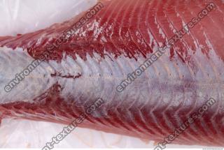  fish tuna meat